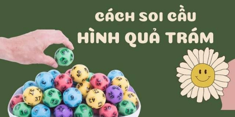 Soi Cầu Quả Trám - Học Ngay Cách Thực Hiện Siêu Đơn Giản Học cách soi cầu quả trám theo hướng dẫn của chuyên gia