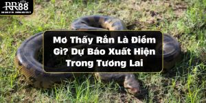 mo-thay-ran-la-diem-gi